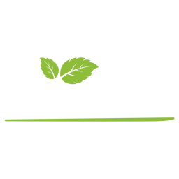 Mint Room Barry logo.